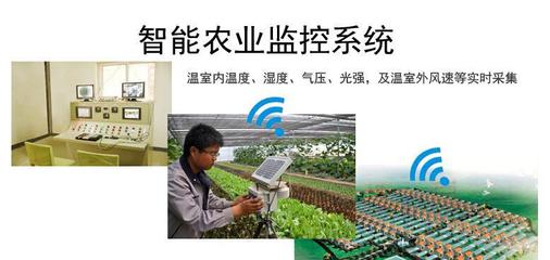 溫度、濕度、光照強度與農業生產 在線氣象監測技術解析