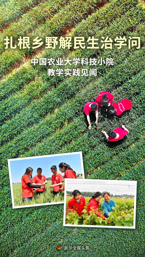 扎根鄉(xiāng)野解民生治學(xué)問 中國農(nóng)業(yè)大學(xué)科技小院教學(xué)實(shí)踐見聞