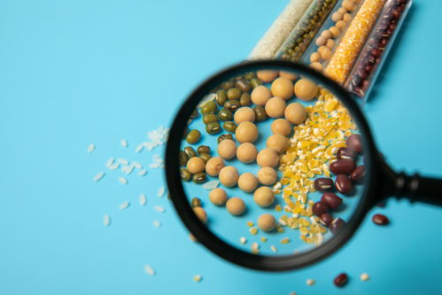 農(nóng)業(yè)科技與食品安全 從五谷培育到高清視覺呈現(xiàn)