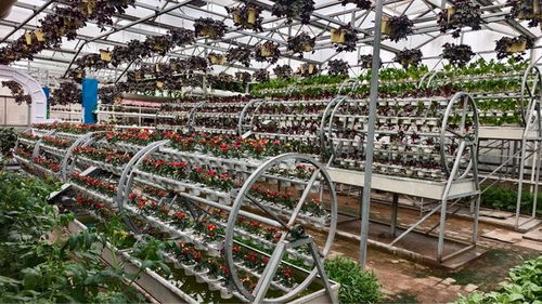 從面朝黃土到指尖耘田 一部劇照見的農業(yè)科技革命