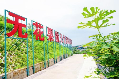 威遠 走好產業(yè)發(fā)展特色路，打造現(xiàn)代農業(yè)新引擎