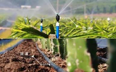 【對(duì)話創(chuàng)業(yè)者】廣西捷佳潤(rùn)科技股份 用信息技術(shù)為農(nóng)業(yè)插上輕松快樂(lè)的翅膀